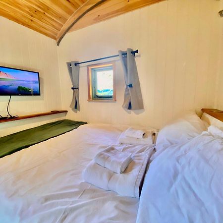 Romantic Nature Retreat, Luxury Glamping & Stargazing Views - Dragonfly Shepherd Hut Yarpole Экстерьер фото