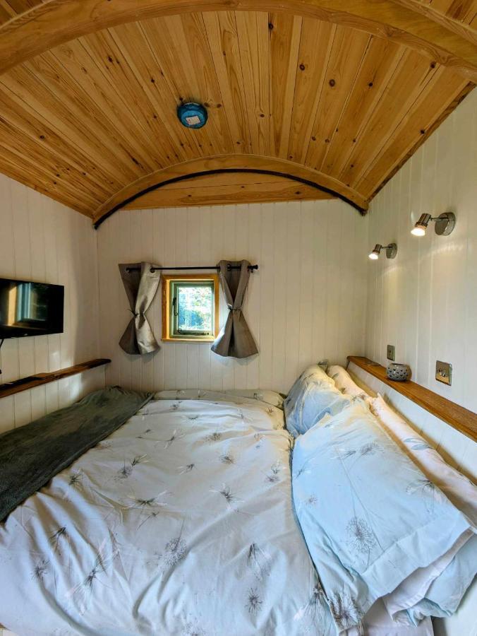 Romantic Nature Retreat, Luxury Glamping & Stargazing Views - Dragonfly Shepherd Hut Yarpole Экстерьер фото