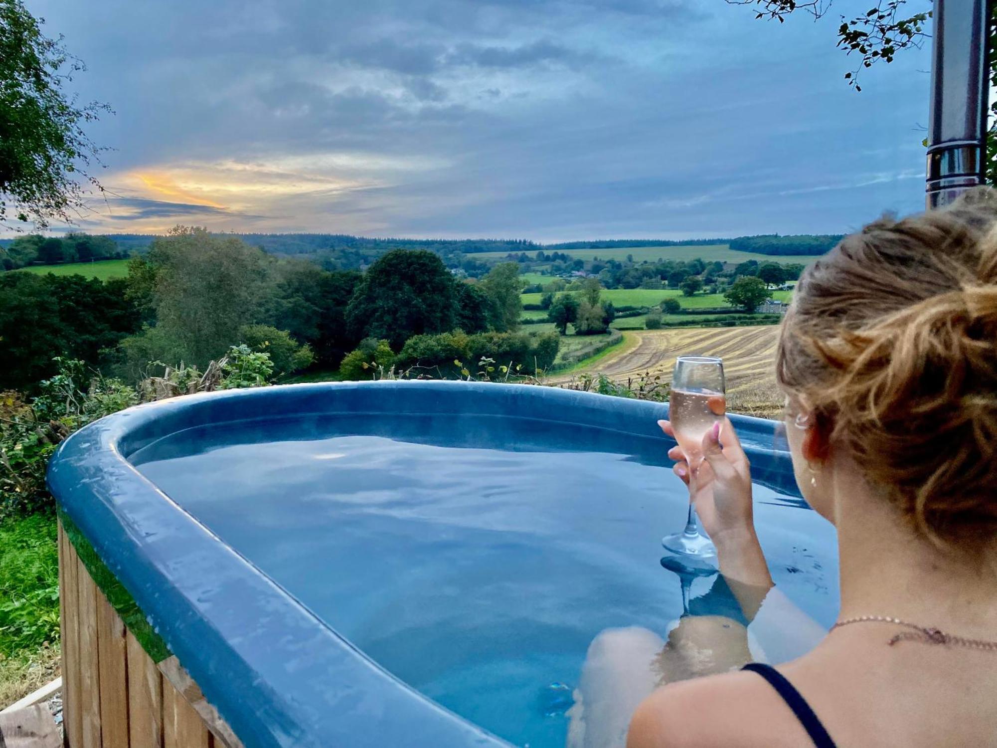 Romantic Nature Retreat, Luxury Glamping & Stargazing Views - Dragonfly Shepherd Hut Yarpole Экстерьер фото